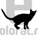 Sticker Decorativ Pisica - 2013